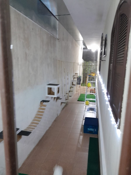 Espaço Gatil: Pets Creche Hotel