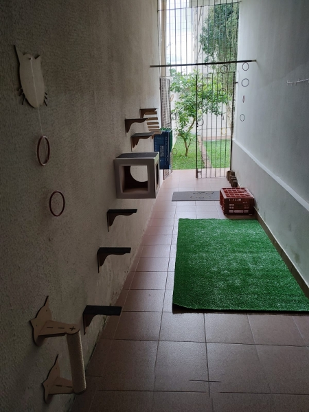 Espaço Gatil: Pets Creche Hotel