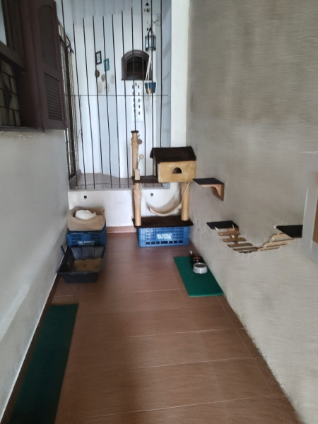 Espaço Gatil: Pets Creche Hotel